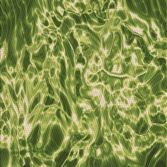 Machine Washable Transitional Green Rug, wshpat3175brn