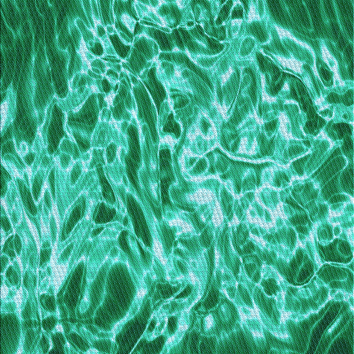 Patterned Medium Spring Green Rug, pat3175lblu