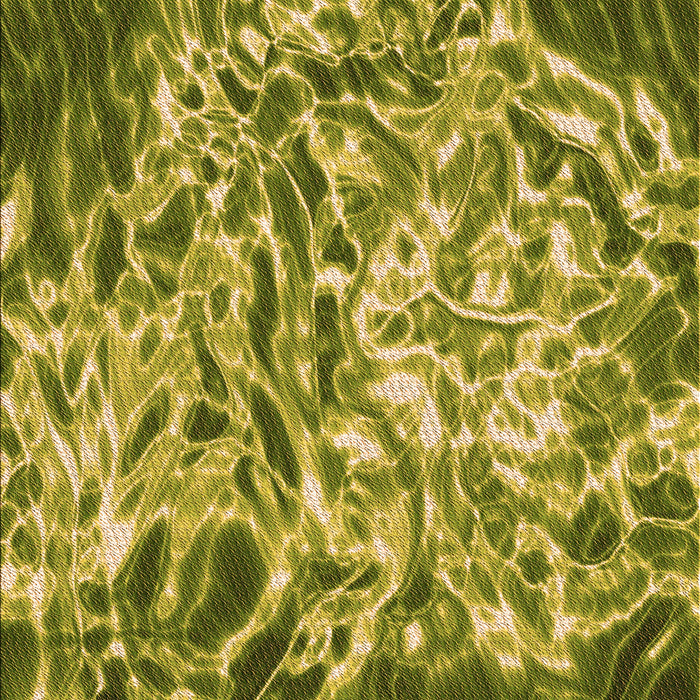 Machine Washable Transitional Orange Gold Rug, wshpat3175org