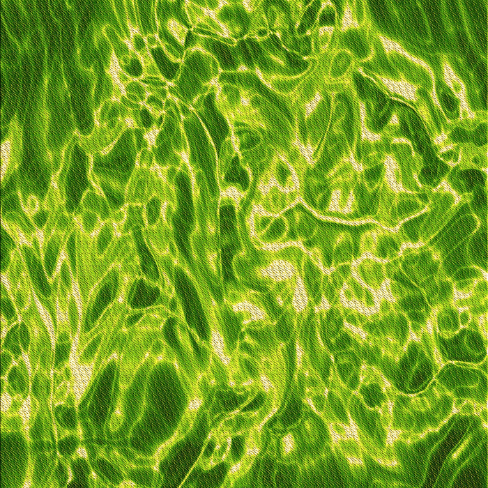 Machine Washable Transitional Forest Green Rug, wshpat3175yw