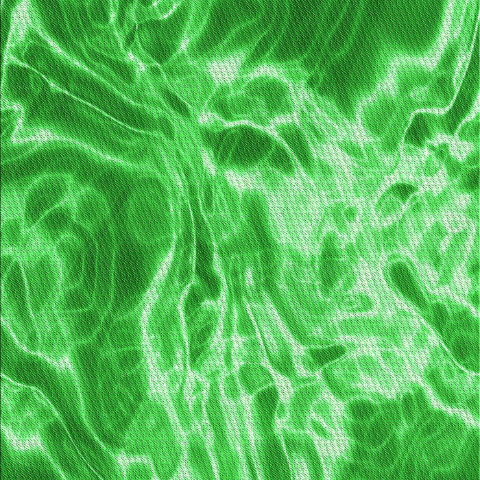 Machine Washable Transitional Neon Green Rug, wshpat3176grn