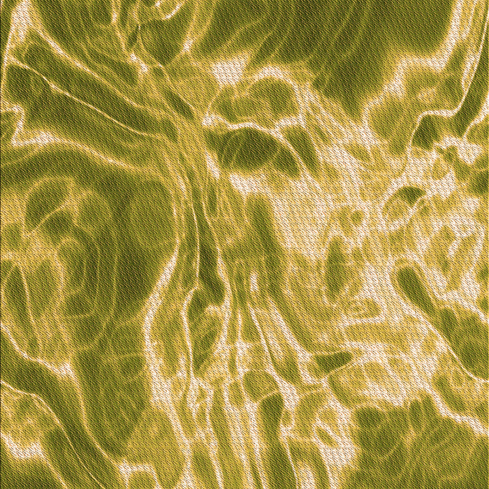 Machine Washable Transitional Dark Yellow Green Rug, wshpat3176org