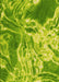 Machine Washable Transitional Dark Lime Green Rug, wshpat3176yw