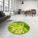 Round Patterned Dark Lime Green Rug in a Office, pat3176yw