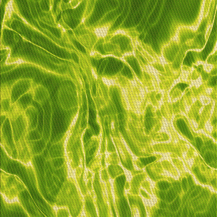 Patterned Dark Lime Green Rug, pat3176yw