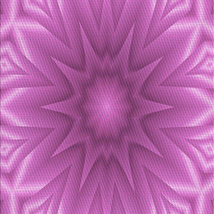 Machine Washable Transitional Neon Pink Rug, wshpat318pur