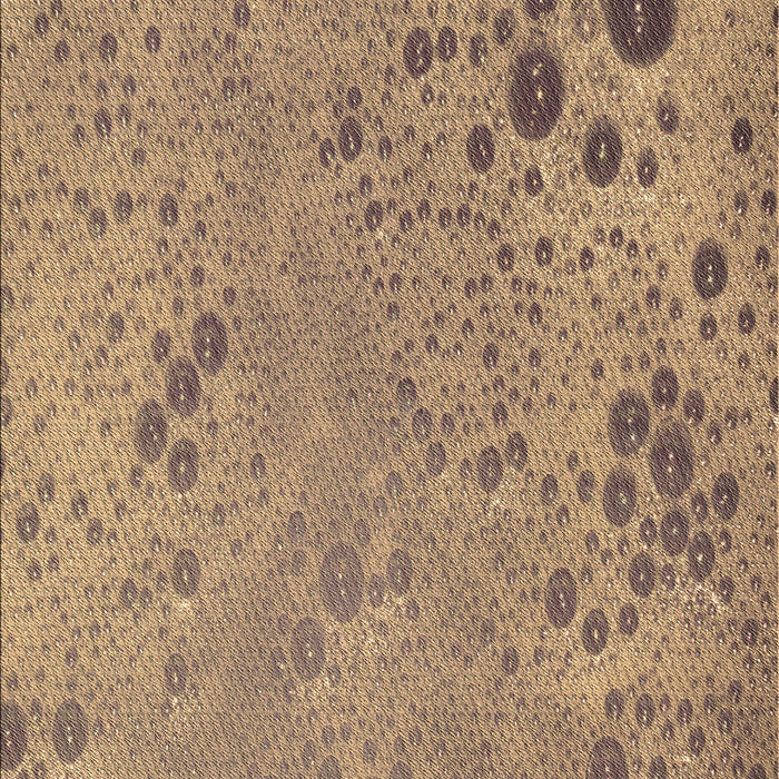 Machine Washable Transitional Brown Sand Brown Rug, wshpat319brn