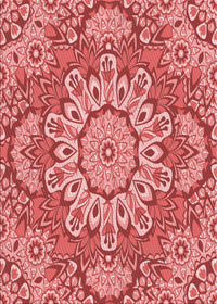 Machine Washable Transitional Light Coral Pink Rug, wshpat3190rd