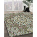 Patterned Antique Bronze Green Novelty Rug in Family Room, pat3190