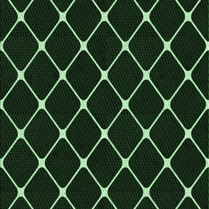 Patterned Black Rug, pat3193grn