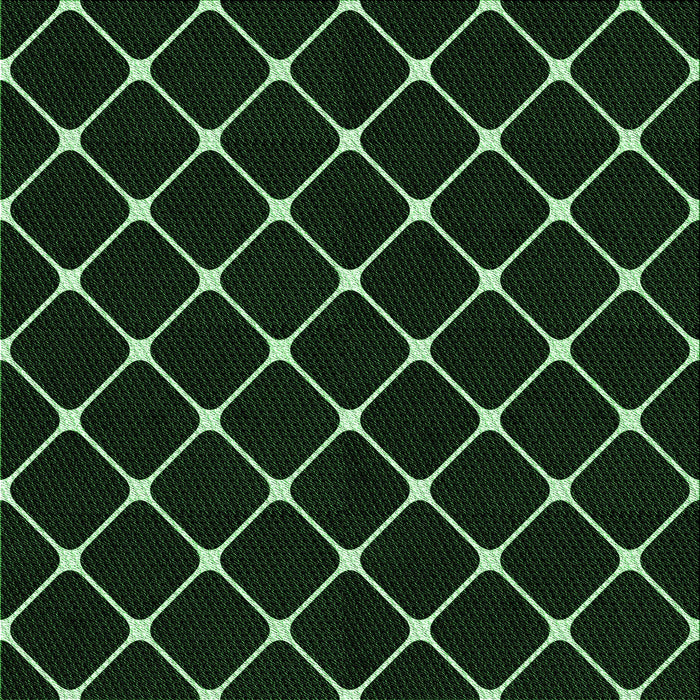 Round Machine Washable Transitional Black Rug, wshpat3193grn