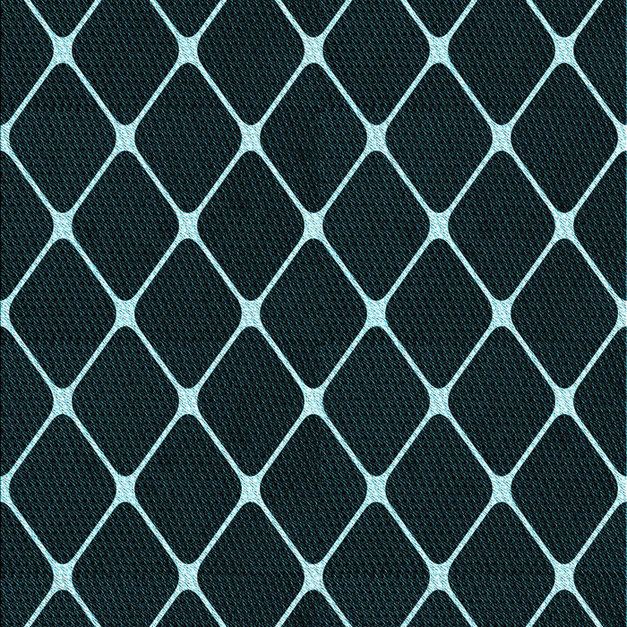 Patterned Black Rug, pat3193lblu