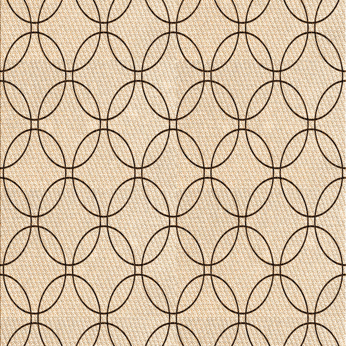 Machine Washable Transitional Peru Brown Rug, wshpat3197org