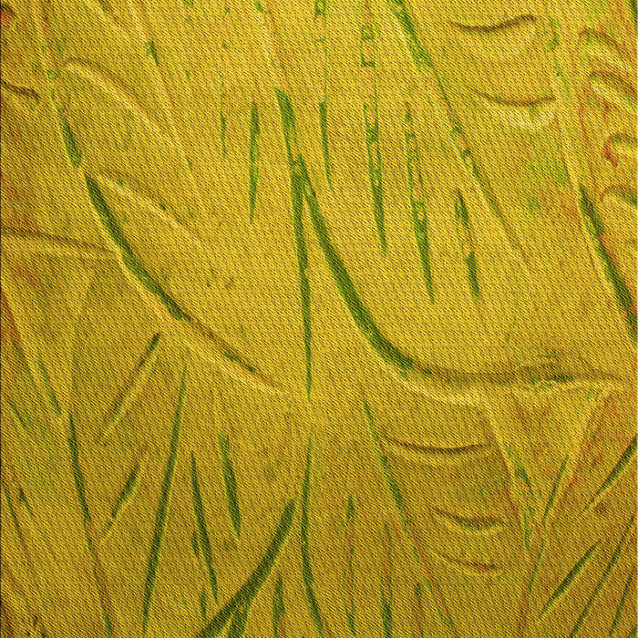 Machine Washable Transitional Dark Bisque Brown Rug, wshpat320yw