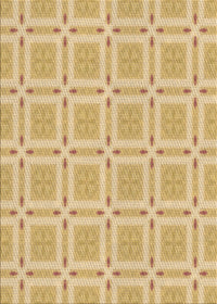 Machine Washable Transitional Orange Gold Rug, wshpat3204brn