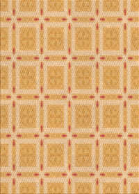 Machine Washable Transitional Orange Rug, wshpat3204org