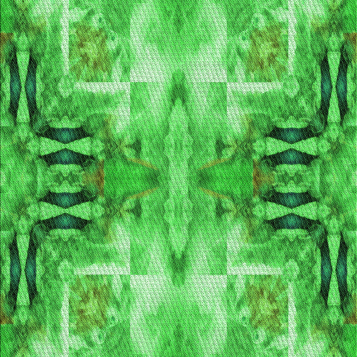 Machine Washable Transitional Neon Green Rug, wshpat3205grn