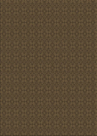 Machine Washable Transitional Oak Brown Rug, wshpat321brn