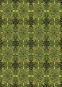 Machine Washable Transitional Dark Yellow Green Rug, wshpat3210brn