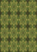 Patterned Dark Yellow Green Rug, pat3210brn