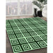 Patterned Light Green Rug in Family Room, pat3213grn