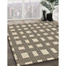 Patterned Vanilla Gold Rug in Family Room, pat3215brn
