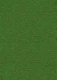 Machine Washable Transitional Deep Emerald Green Rug, wshpat3226grn