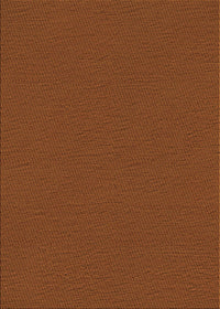 Machine Washable Transitional Mahogany Brown Rug, wshpat3226org