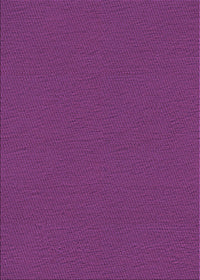 Machine Washable Transitional Purple Rug, wshpat3226pur