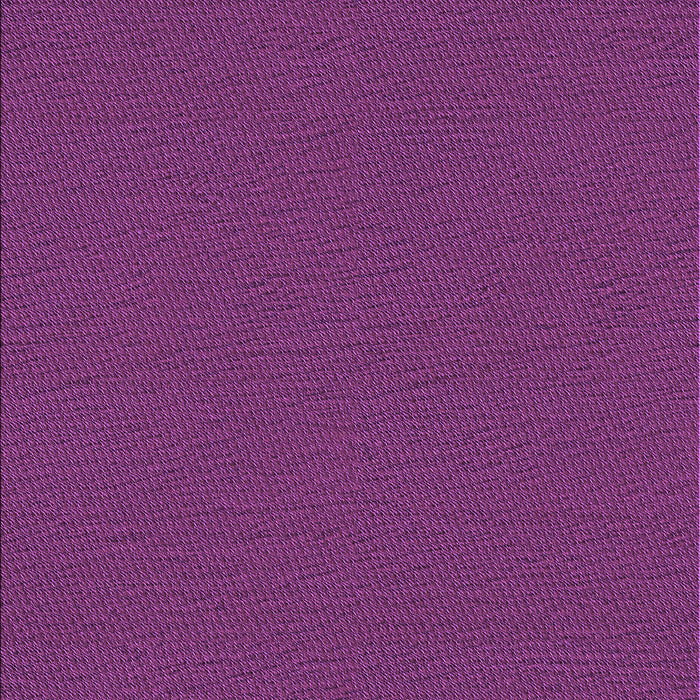 Machine Washable Transitional Purple Rug, wshpat3226pur