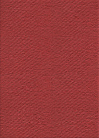 Machine Washable Transitional Red Rug, wshpat3226rd