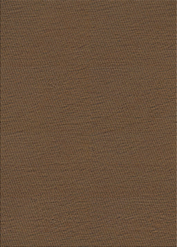 Machine Washable Transitional Night Red Rug, wshpat3226