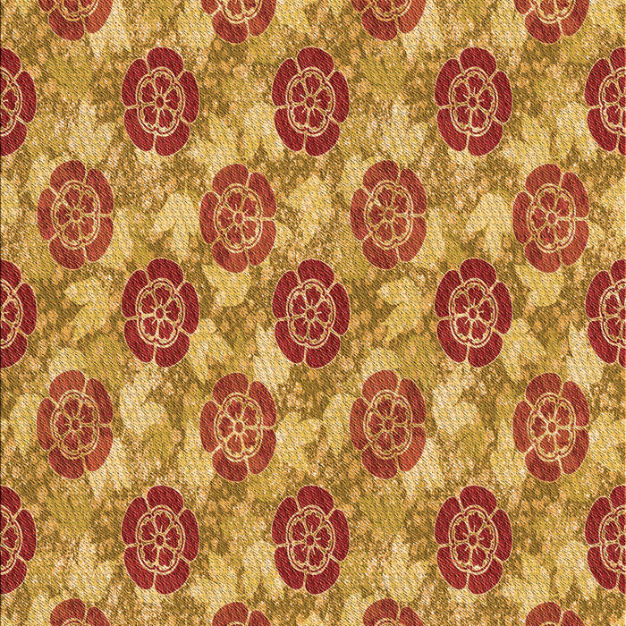 Machine Washable Transitional Orange Rug, wshpat3227org