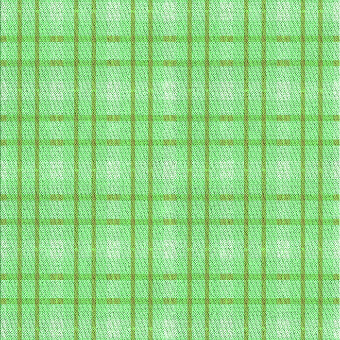 Machine Washable Transitional Green Rug, wshpat3228grn