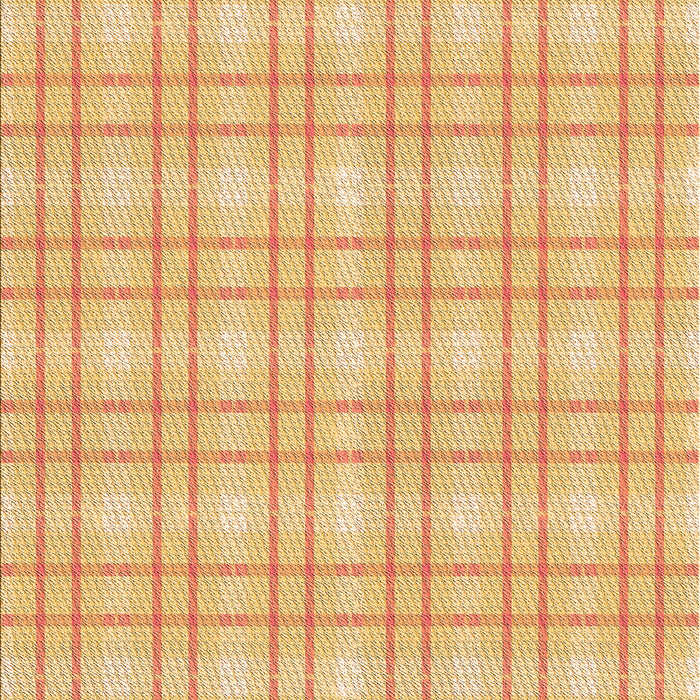 Machine Washable Transitional Orange Rug, wshpat3228org