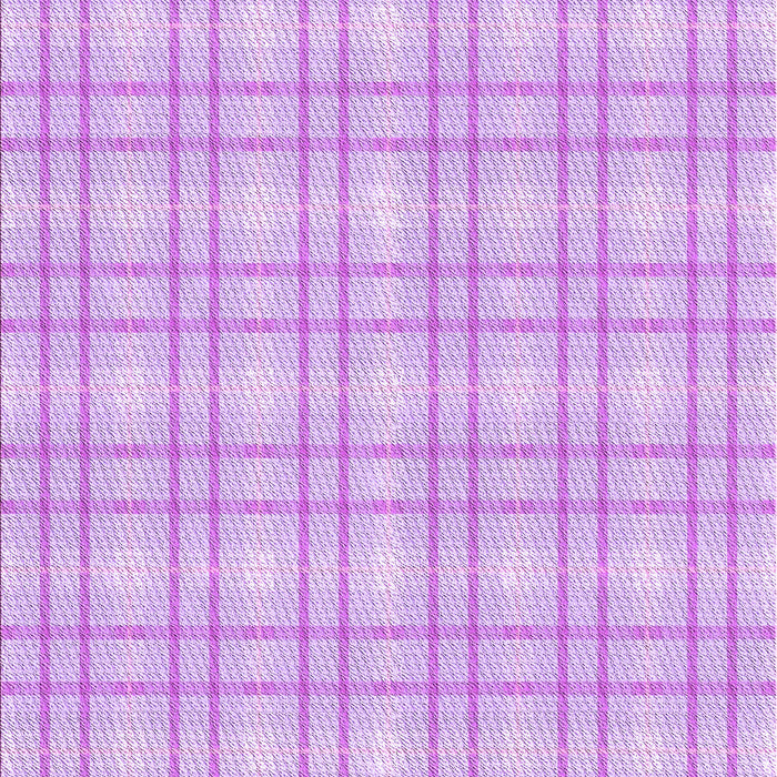 Machine Washable Transitional Purple Rug, wshpat3228pur