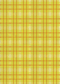 Machine Washable Transitional Yellow Rug, wshpat3228yw