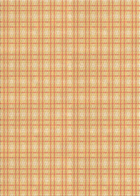 Machine Washable Transitional Orange Rug, wshpat3229org