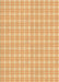 Machine Washable Transitional Orange Rug, wshpat3229org