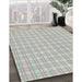 Patterned Light Rose Green Novelty Rug in Family Room, pat3229