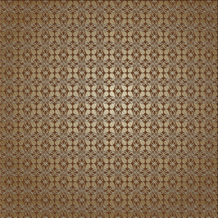 Sideview of Machine Washable Transitional Camel Brown Rug, wshpat322