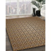 Patterned Camel Brown Novelty Rug in Family Room, pat322