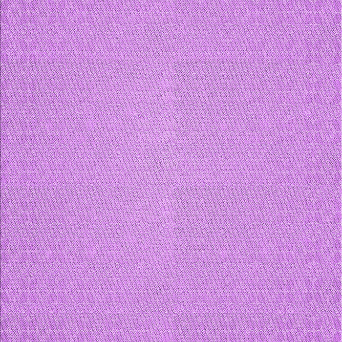 Machine Washable Transitional Violet Purple Rug, wshpat323pur