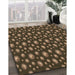 Machine Washable Transitional Chocolate Brown Rug in a Family Room, wshpat3234brn