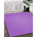 Machine Washable Transitional Purple Rug in a Family Room, wshpat324pur