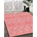 Patterned Light Salmon Pink Rug in Family Room, pat325rd