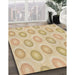 Machine Washable Transitional Brown Gold Rug in a Family Room, wshpat3252brn