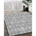 Machine Washable Transitional Platinum Silver Gray Rug in a Family Room, wshpat3254gry