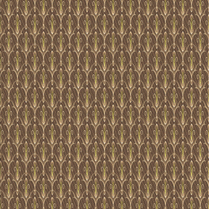 Machine Washable Transitional Bronze Brown Rug, wshpat3255brn