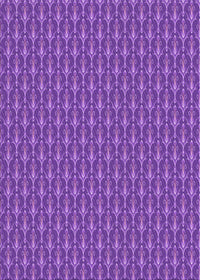 Machine Washable Transitional Purple Rug, wshpat3255pur